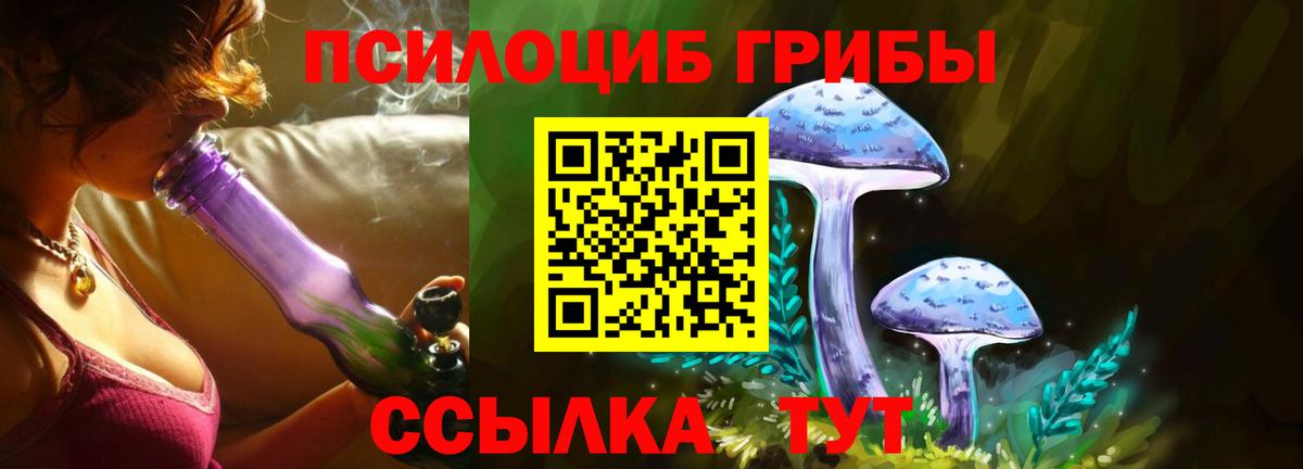 Псилоцибиновые грибы GOLDEN TEACHER Анапа
